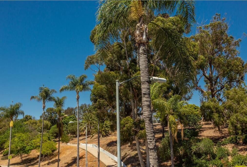 Cozy Studio Next To San Diego Dt And Balboa Park Экстерьер фото
